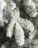 Árvore De Natal Com Micro LED Embutida